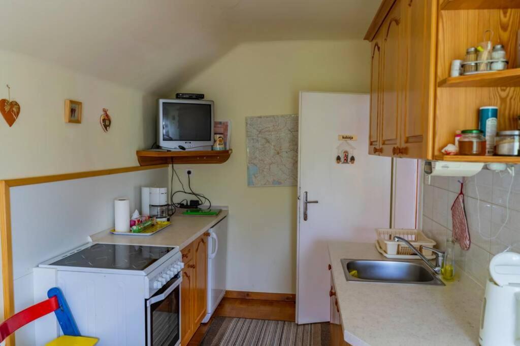 Apartma Jansa Bled Exterior foto